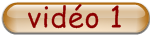 vido 1